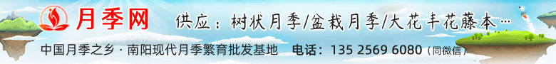 月季網(wǎng)