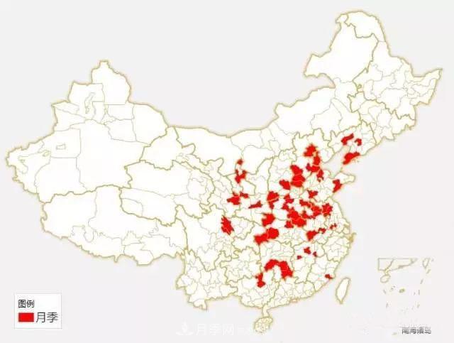 中國各城市市花大集合！月季是51個城市市花具首位(圖1)