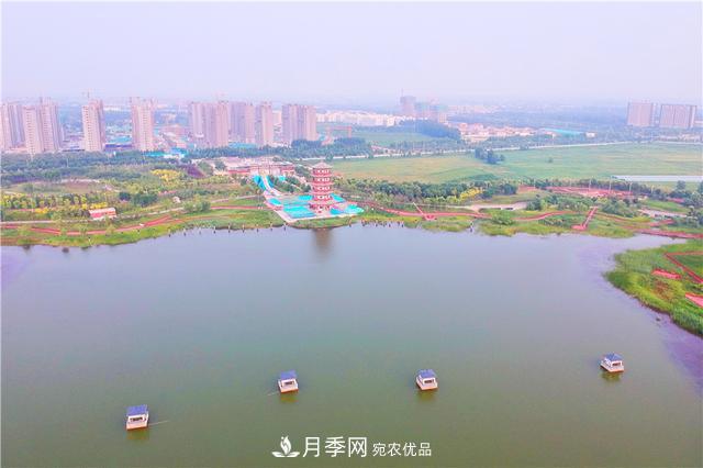 山東濟南的后花園，童話般月季花王國，300畝900個品種月季花盛放(圖9)