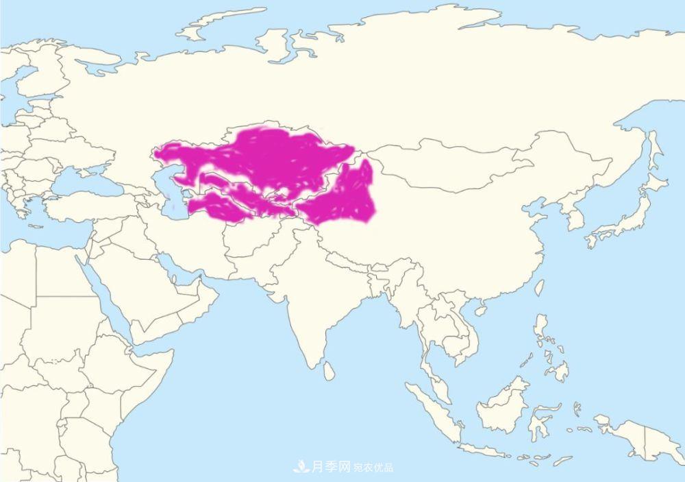 月季的前世今生 | 假如中國月季沒有傳入歐洲(圖25)