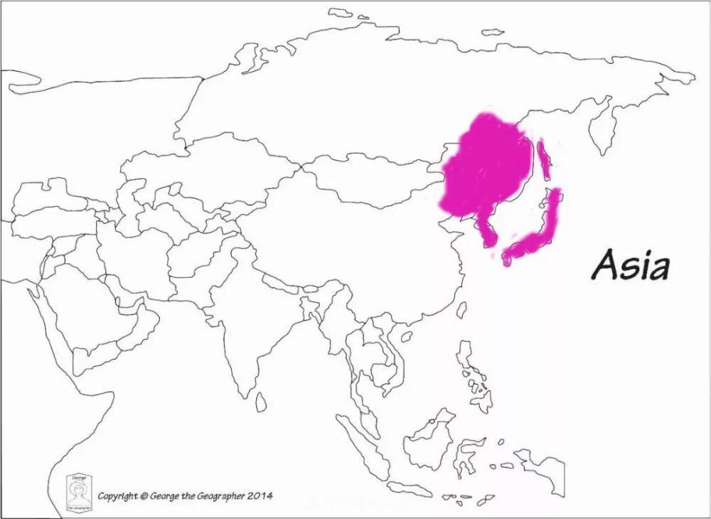 月季的前世今生 | 假如中國月季沒有傳入歐洲(圖36)