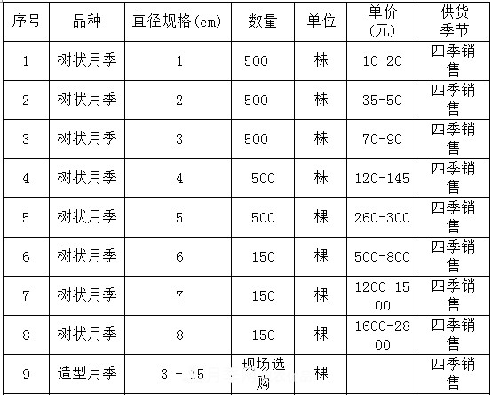 安徽樹狀月季的價(jià)格？樹狀月季各規(guī)格多少錢一棵？(圖4)