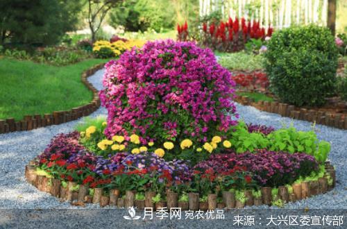 2020年北京市“職工技協(xié)杯”市花月季主題花園網絡設計大賽及造園大賽收官(圖1)