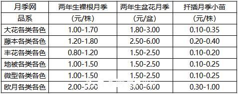 南陽造型月季價格表(圖1)