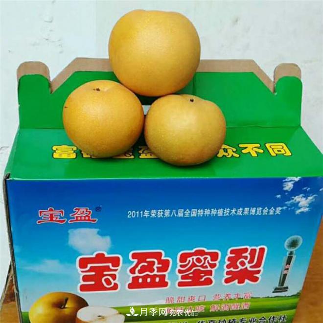 南水北調(diào)有機(jī)寶盈蜜梨，南陽淅川特產(chǎn)水果批發(fā)(圖3)