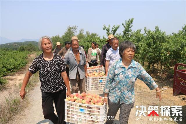 南陽市南召縣南河店鎮(zhèn) 培育綠色農業(yè)產業(yè)共享生態(tài)紅利(圖2)