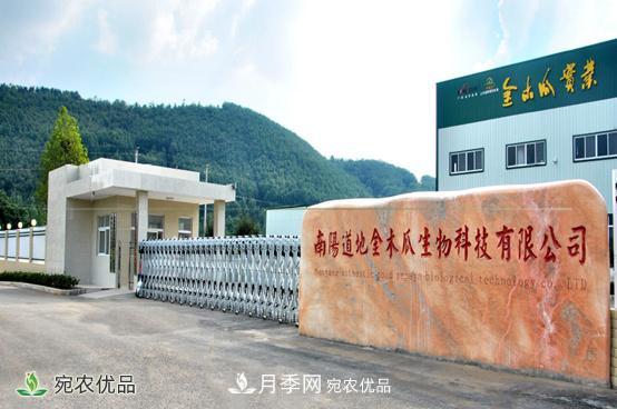 走進南陽市方城縣柳河鎮(zhèn)金木瓜基地(圖1)