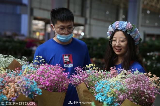 云南昆明：長假“帶火”花卉經(jīng)濟(jì)(圖1)