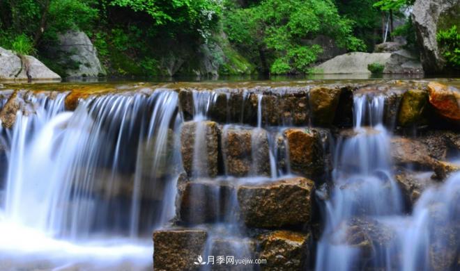 河南五個(gè)綠色“海洋”，在20度的森林中呼吸，讓你流連忘返(圖2)