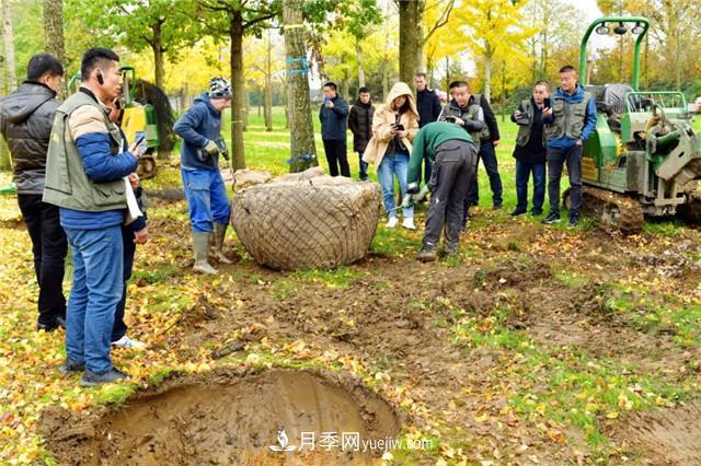 牛氣的苗圃背后“套路”都很深(圖2)