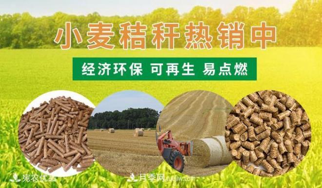 南陽小麥秸稈生物質(zhì)燃料批發(fā)(圖1)