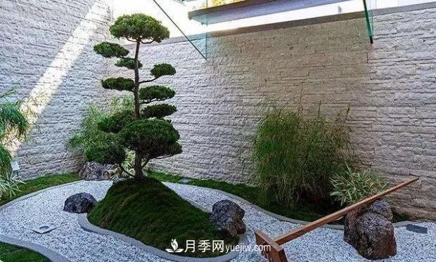 庭院種植花木時(shí)一定要注意避開這4種樹(圖2)