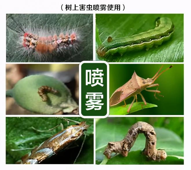 8種花木常用農(nóng)藥介紹，價(jià)格便宜效果很好(圖3)