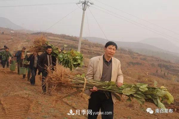 南召縣邱峰：玉蘭苗木脫貧攻堅戰(zhàn)場上“***可愛的人”(圖1)