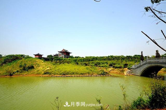 江西南昌天香園走紅，有3萬(wàn)余的盆景，是南昌的“花卉之源”(圖2)