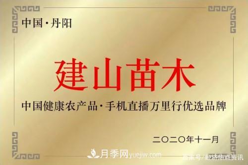 江蘇丹陽建山村打造全國(guó)首個(gè)集體性質(zhì)苗木直播電商基地(圖3)