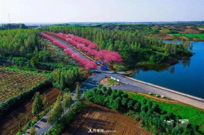 襄陽樊城區(qū)景觀“一號公路”下個月通車，顏值驚人！(圖1)