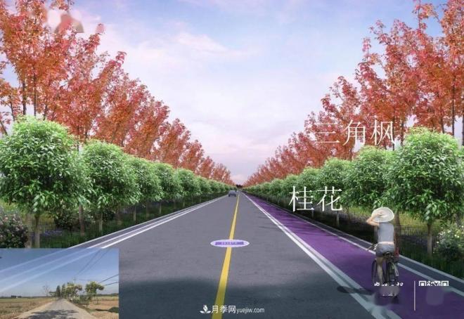 襄陽樊城區(qū)景觀“一號公路”下個月通車，顏值驚人！(圖5)