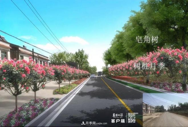 襄陽樊城區(qū)景觀“一號公路”下個月通車，顏值驚人！(圖8)