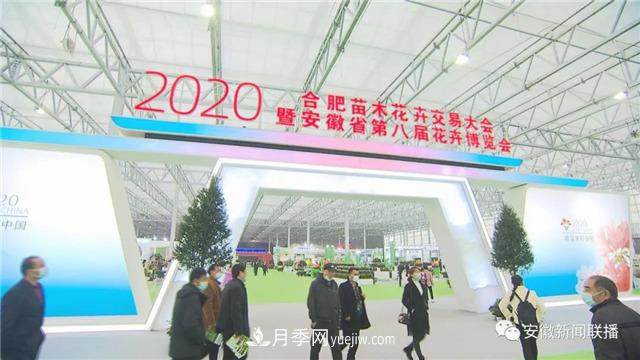 2600多種精品苗木花卉亮相2020合肥苗交會(圖1)