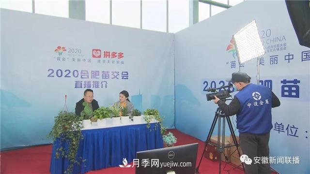 2600多種精品苗木花卉亮相2020合肥苗交會(圖3)