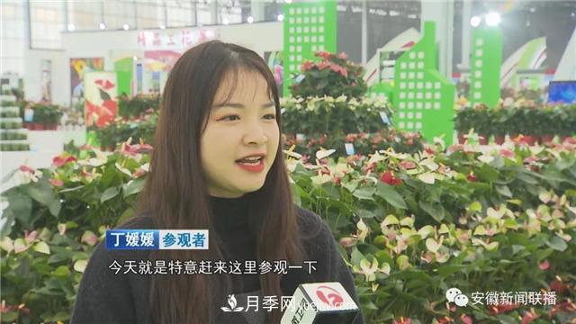 2600多種精品苗木花卉亮相2020合肥苗交會(圖2)