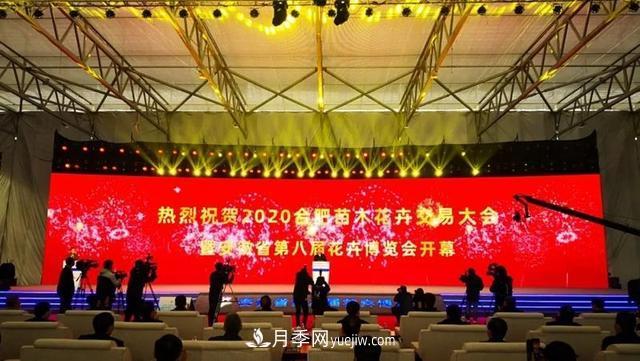 2020合肥苗木花卉交易大會(huì) 首次實(shí)現(xiàn)“云上辦展”(圖1)