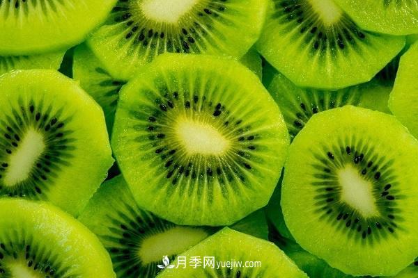 西峽獼猴桃的十大功效，對人體有哪些好處(圖1)