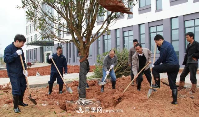 20條可以指導(dǎo)苗木花卉移植的諺語(圖2)