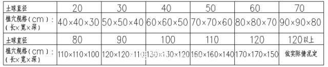 要想苗木長得好，挖好樹穴很重要！標(biāo)準(zhǔn)種植穴(圖2)