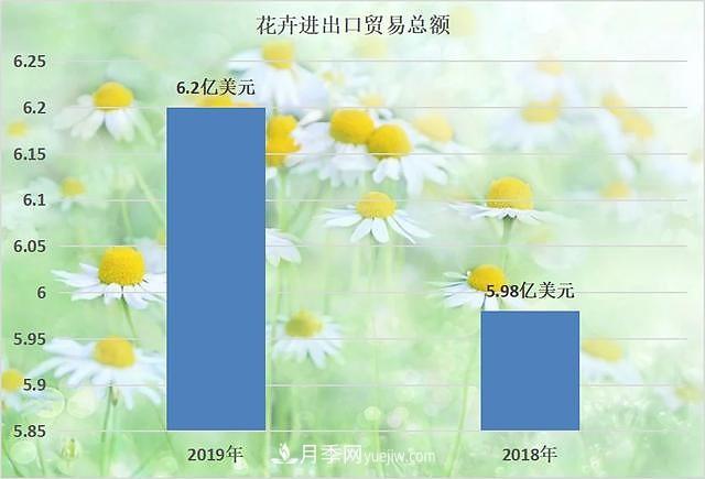 2020-2024年中國花卉市場發(fā)展預測分析(圖2)