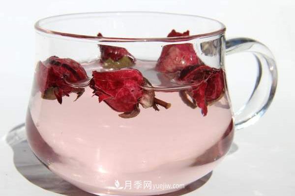 月季花茶是涼性的嗎 經(jīng)期可以喝月季花茶嗎(圖3)