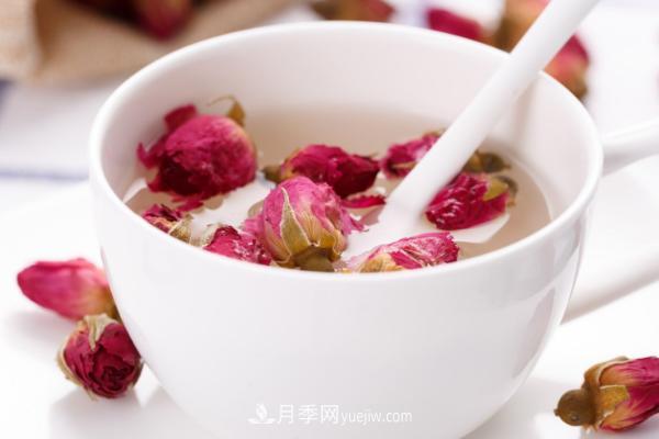 月季花茶是涼性的嗎 經(jīng)期可以喝月季花茶嗎(圖1)