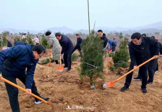 南陽(yáng)市臥龍區(qū)：千人同植樹(shù) 共建生態(tài)林(圖1)