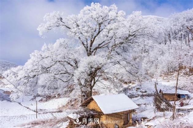 湖北襄陽(yáng)保康：高山霧凇美如畫(圖1)