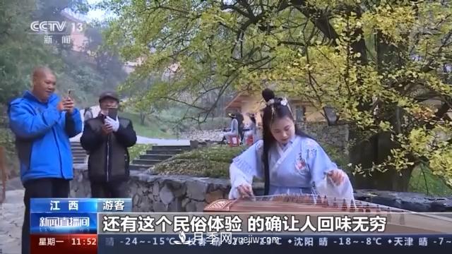 江西銀杏樹(shù)披金甲 還不快來(lái)云打卡(圖1)