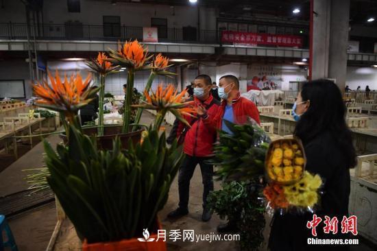 昆明斗南“亞洲花都”健步邁向世界花卉產業(yè)中心(圖1)