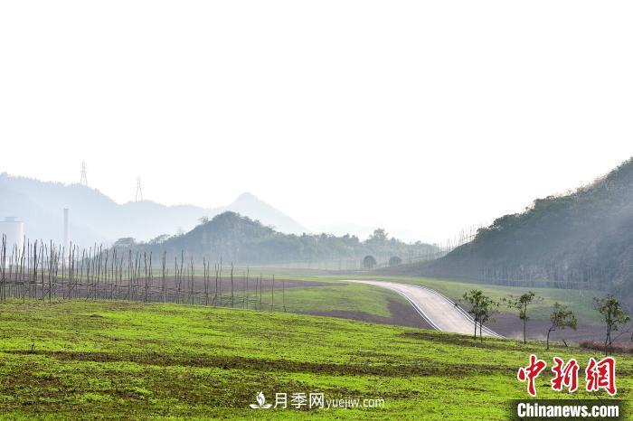 重慶南山閉礦區(qū)變身綠色生態(tài)游園(圖1)