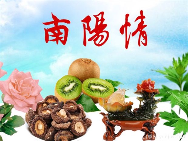 南陽(yáng)鎮(zhèn)平：玉器觀賞魚(yú) 特色產(chǎn)業(yè)之花競(jìng)相綻放(圖1)