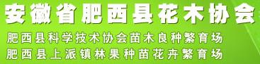 安徽省肥西縣花木協(xié)會(圖1)