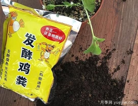 花卉綠植常用三大花肥分析，有機(jī)肥、無(wú)機(jī)肥、發(fā)酵各種糞(圖1)