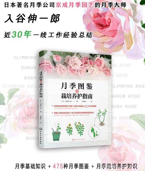 月季圖書：入谷伸一郎《月季圖鑒與栽培養(yǎng)護(hù)指南》(圖1)