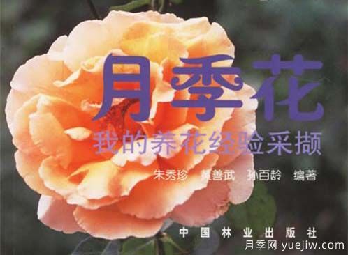 月季圖書(shū)：朱秀珍《月季花:我的養(yǎng)花經(jīng)驗(yàn)采擷》(圖1)