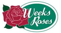 月季育種家：美國威克斯月季公司(Weeks Roses)(圖1)