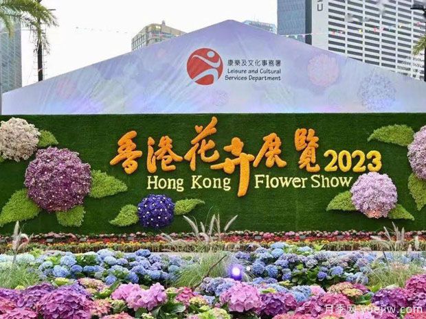 2023年香港花卉展覽會3月10日舉辦(圖1)