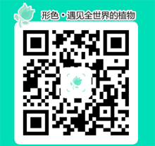 形色app，精準(zhǔn)辨別花卉識別植物(圖1)