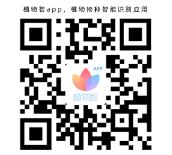 植物智app，植物物種智能識(shí)別應(yīng)用(圖1)