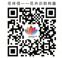 花伴侶app，花卉識(shí)別，花草樹(shù)木呈名(圖1)