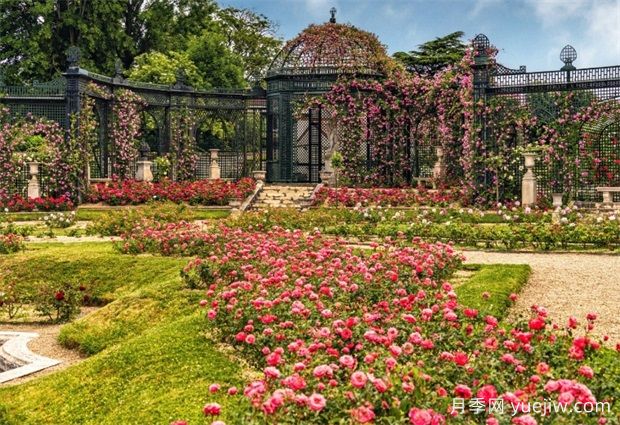 法國馬恩河谷玫瑰園，全球**座月季園(圖1)