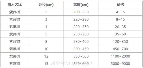 常用地徑4公分、5公分、10公分紫薇樹價格表(圖1)